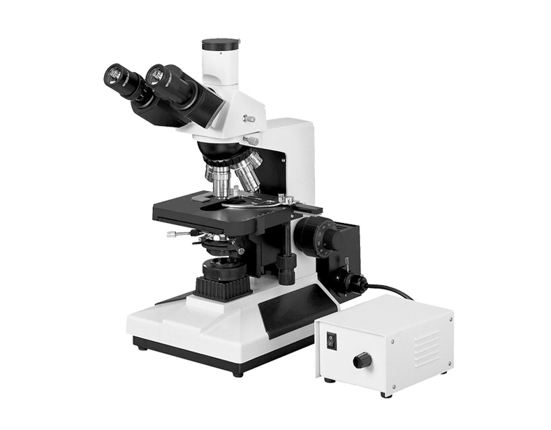 廣州粵顯L2050系列生物顯微鏡