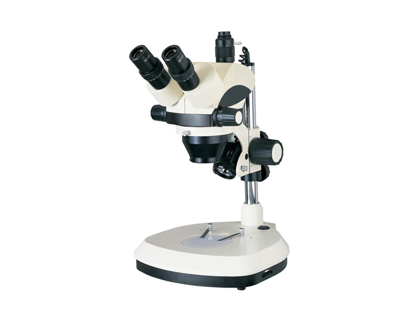 廣州粵顯XTL系列體視顯微鏡