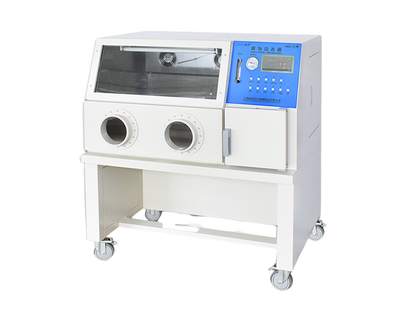 上海新苗 YQX-Ⅱ厭氧培養箱